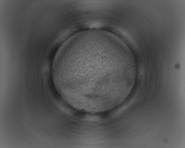 X0000094960311200712131651