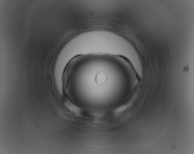 X0000094960312200712131651