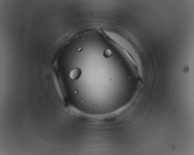 X0000094960313200712131651