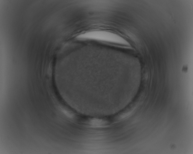 X0000094960315200712131651