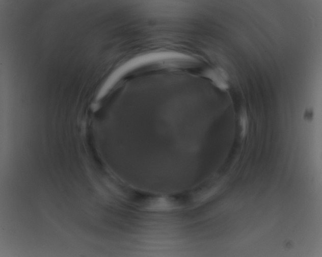 X0000094960316200712131651