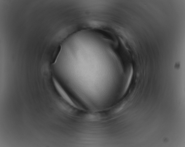 X0000094960317200712131651