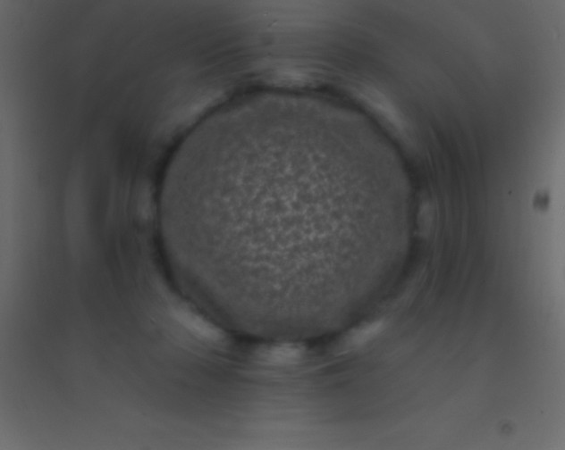 X0000094960318200712131651