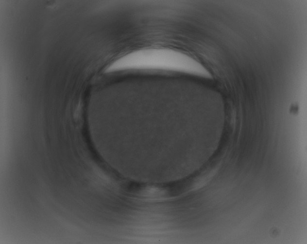 X0000094960319200712131651