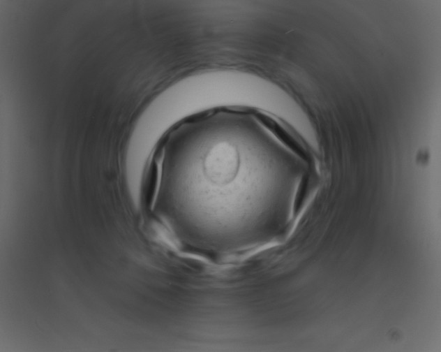 X0000094960320200712131651