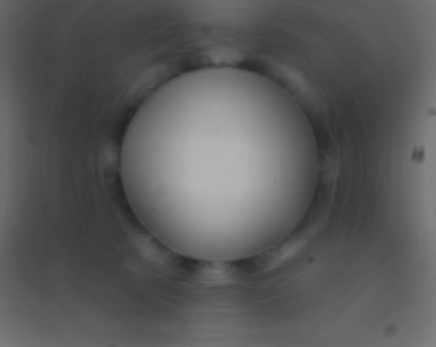 X0000094960321200712131651