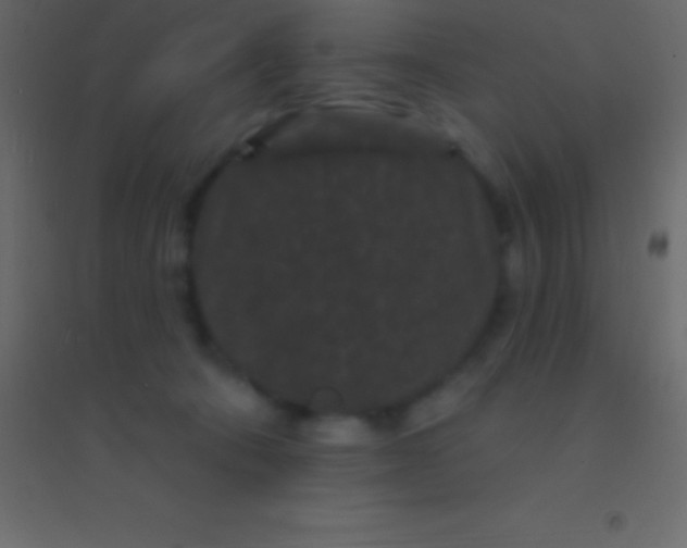 X0000094960322200712131651