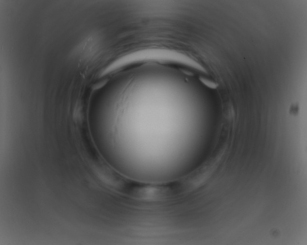 X0000094960323200712131651