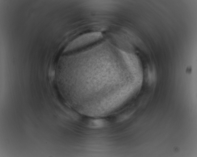 X0000094960324200712131651