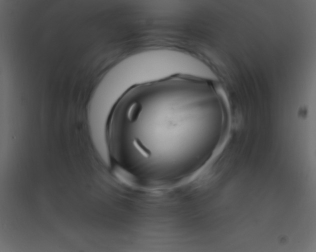 X0000094960325200712131651