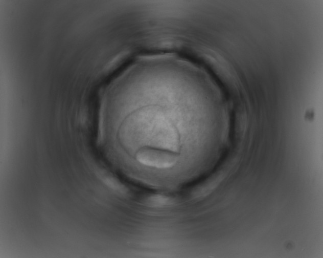 X0000094960326200712131651