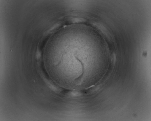 X0000094960327200712131651