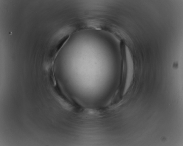 X0000094960329200712131651