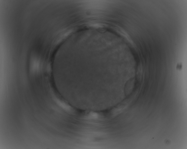 X0000094960330200712131651