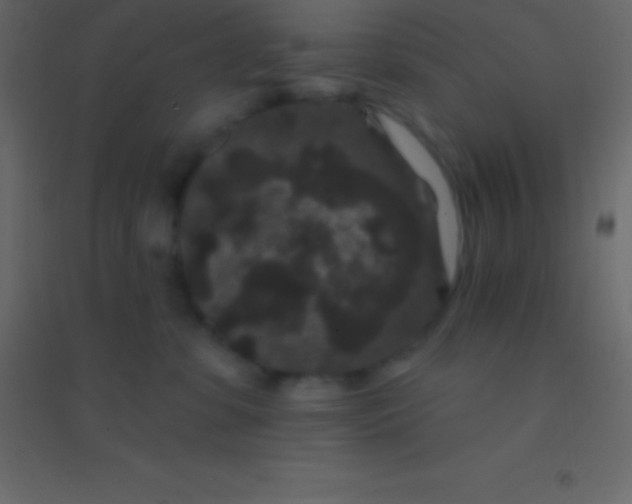 X0000094960331200712131651