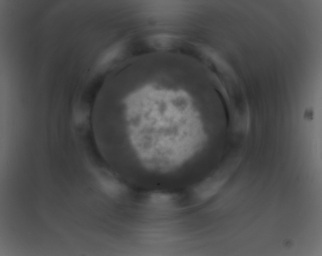 X0000094960332200712131651