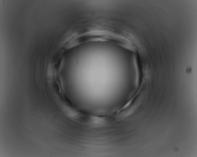 X0000094960333200712131651