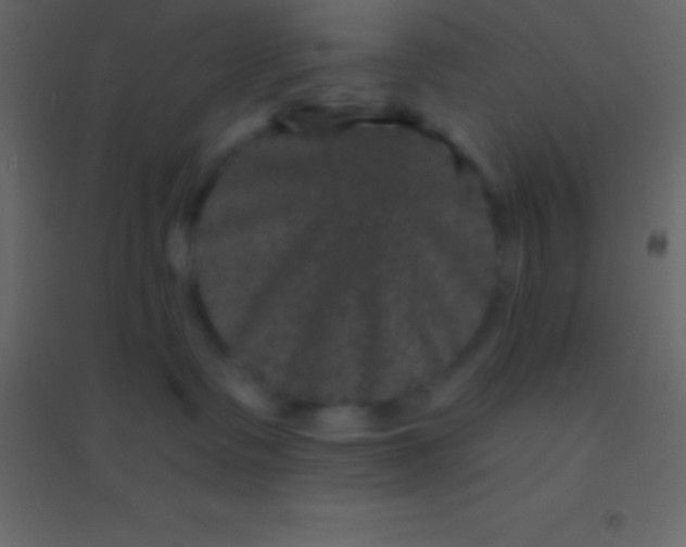 X0000094960335200712131650