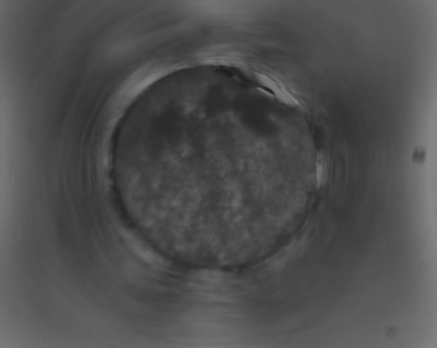 X0000094960339200712131650