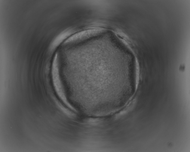 X0000094960341200712131650