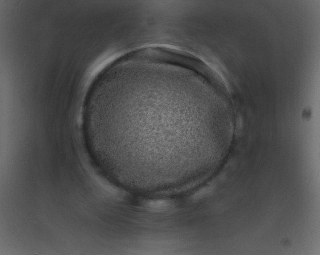 X0000094960344200712131650