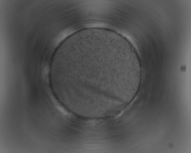 X0000094960345200712131650