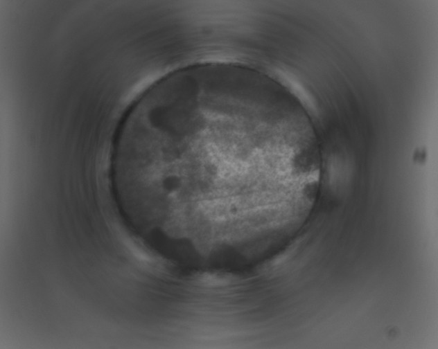 X0000094960346200712131650