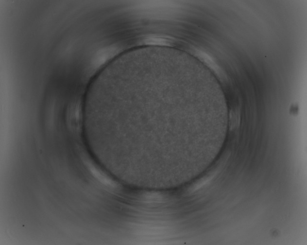 X0000094960349200712131650