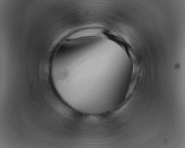 X0000094960350200712131650