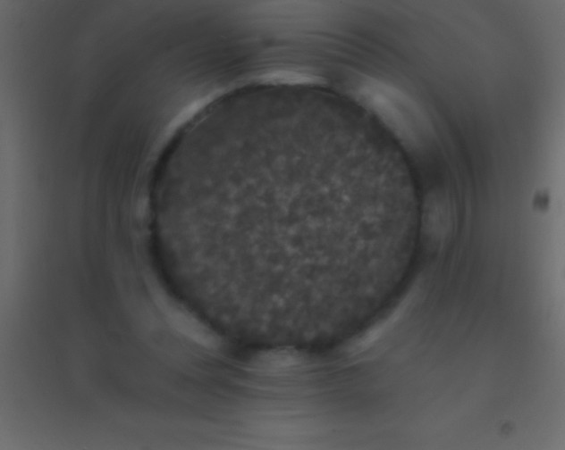 X0000094960351200712131650