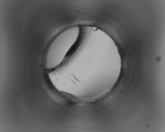 X0000094960352200712131650