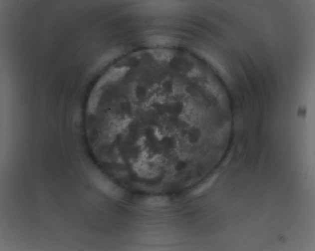 X0000094960353200712131650