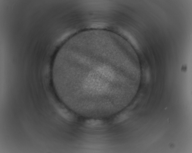 X0000094960354200712131650