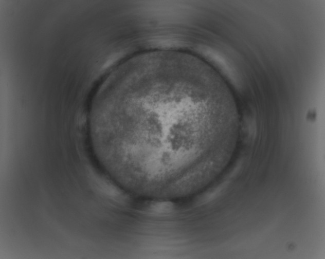 X0000094960355200712131650