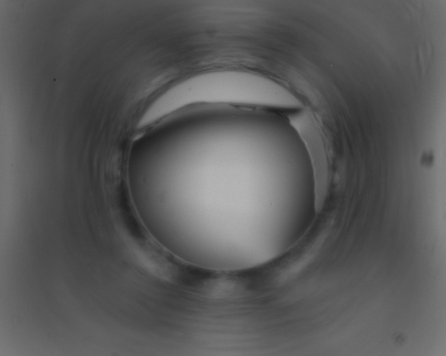 X0000094960356200712131650