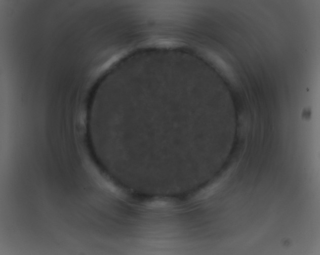 X0000094960358200712131650