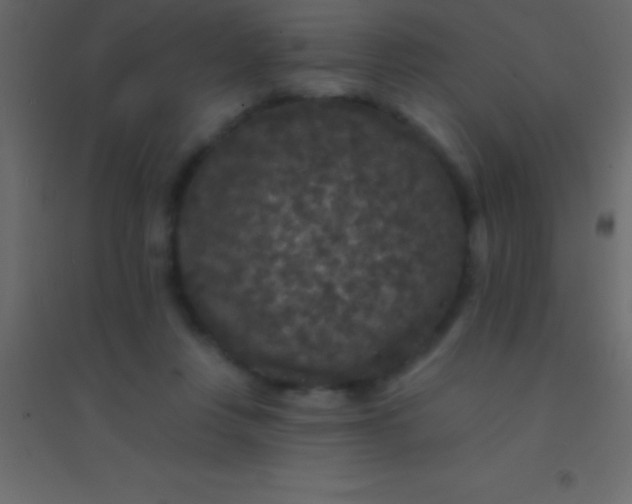 X0000094960359200712131650