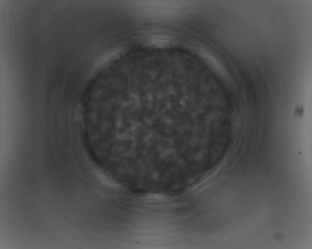 X0000094960361200712131650