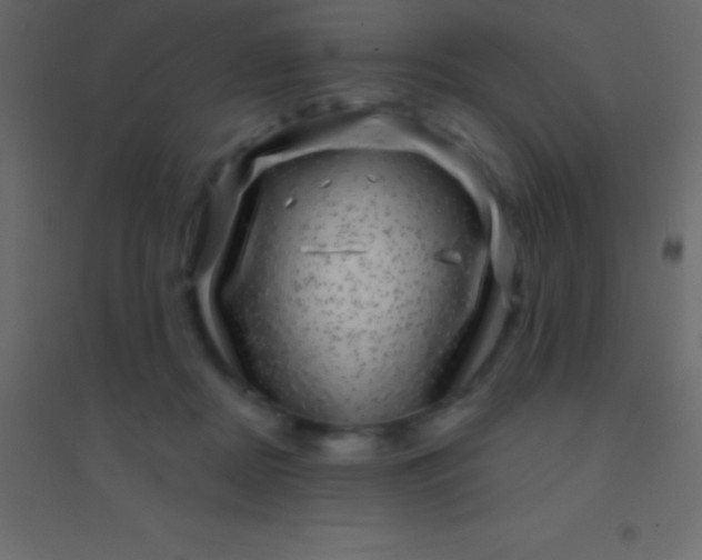 X0000094960362200712131650