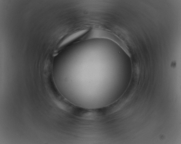 X0000094960364200712131650