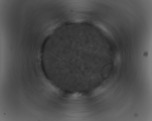 X0000094960366200712131650