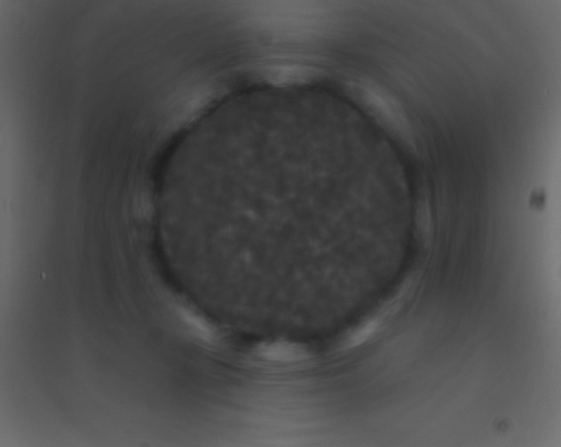 X0000094960367200712131650