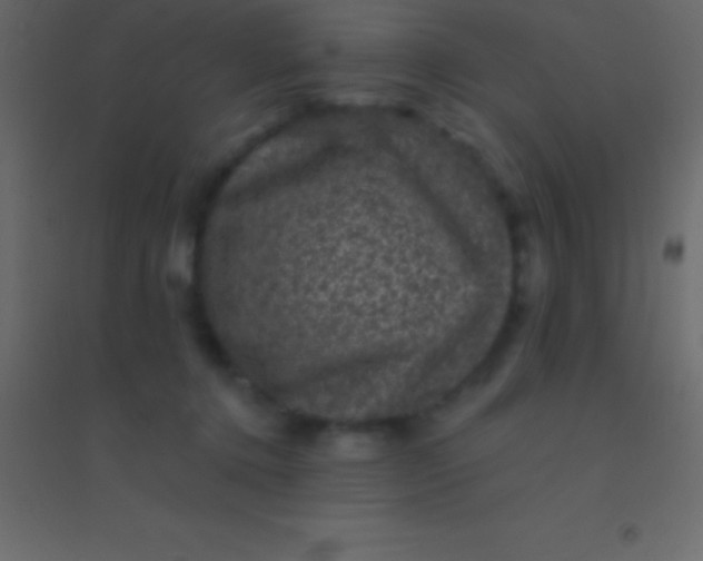 X0000094960368200712131650