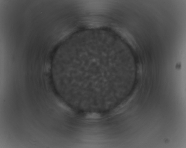 X0000094960369200712131650