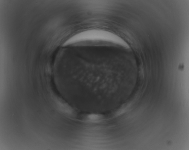 X0000094960371200712131650