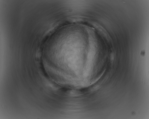 X0000094960372200712131650