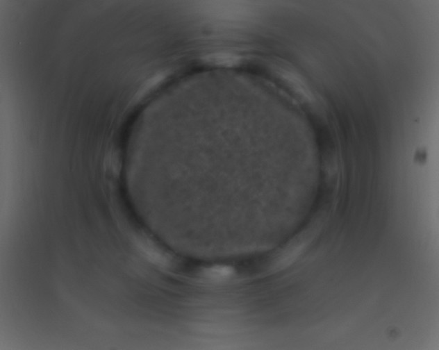 X0000094960374200712131650