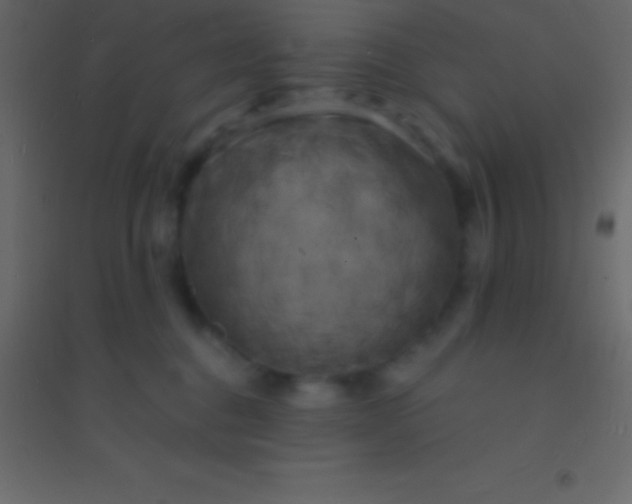 X0000094960376200712131650