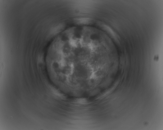 X0000094960377200712131650