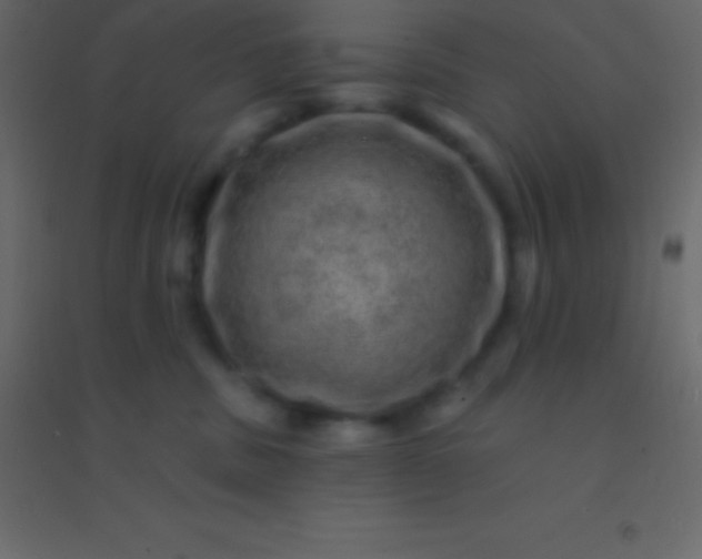 X0000094960379200712131650